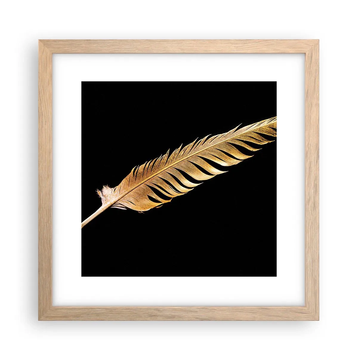 Plagát v ráme zo svetlého duba - Krásne pierko… - 30x30 cm