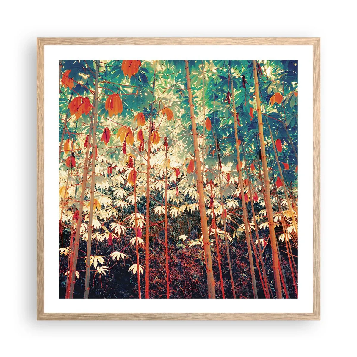 Plagát v ráme zo svetlého duba - Tajný život listov - 60x60 cm