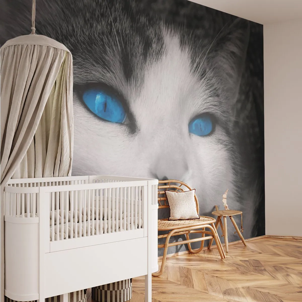 Samolepiaca Fototapeta Deluxe Sticker - Neobvyklý modrooký - Zvieratá, Cat, Modré oči - 250x175 cm