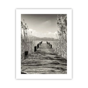 Plagát - V ústraní tráv - 40x50 cm