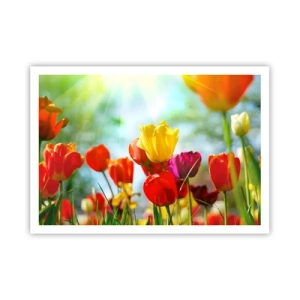 Plagát - Všetky farby slnka - 100x70 cm