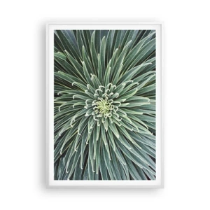 Plagát v bielom ráme - Zrodenie hviezdy - 70x100 cm