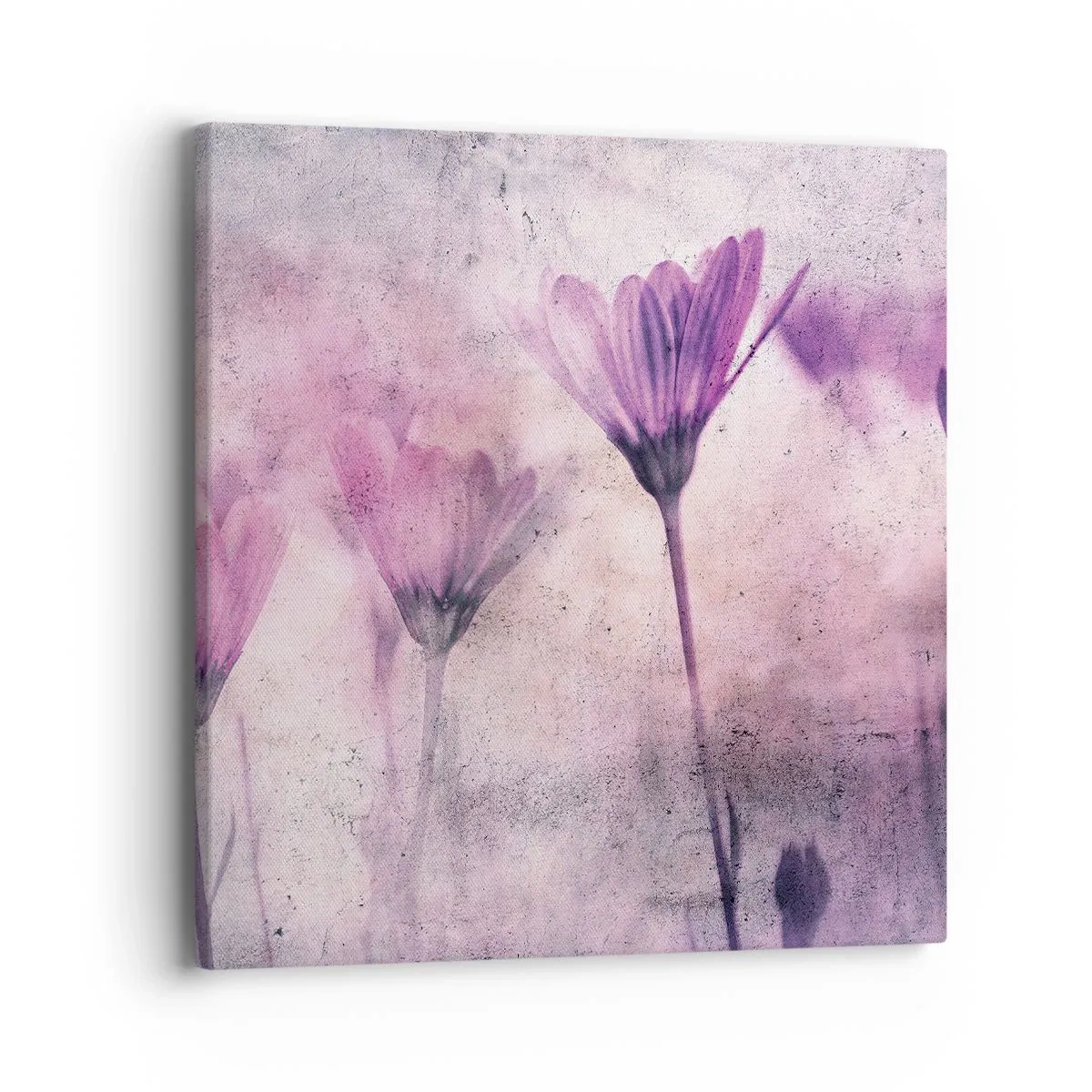 Obraz na plátne - Sen kvetov - 40x40 cm