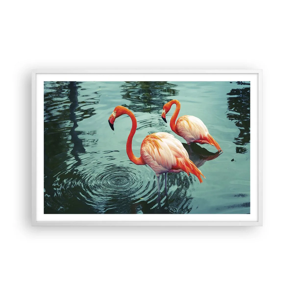 Plagát v bielom ráme - Teraz sme v móde - 91x61 cm