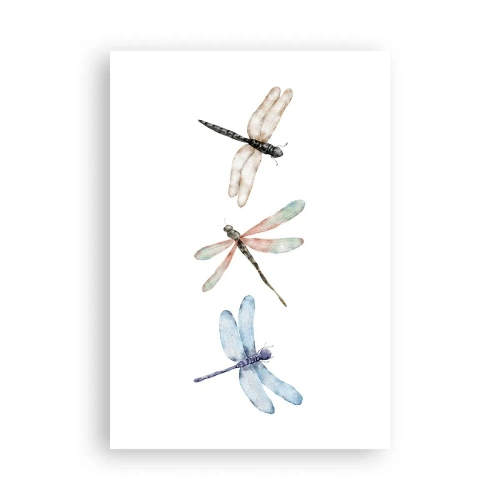 Plagát - Beztiažové vážky - 70x100 cm