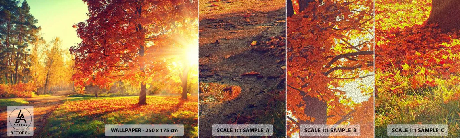 Vzorka fototapety Premium Sand - Červené je krásne - Krajina, Park, Príroda - 100x30 cm