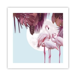 Plagát - Tri vtáčie grácie - 40x40 cm