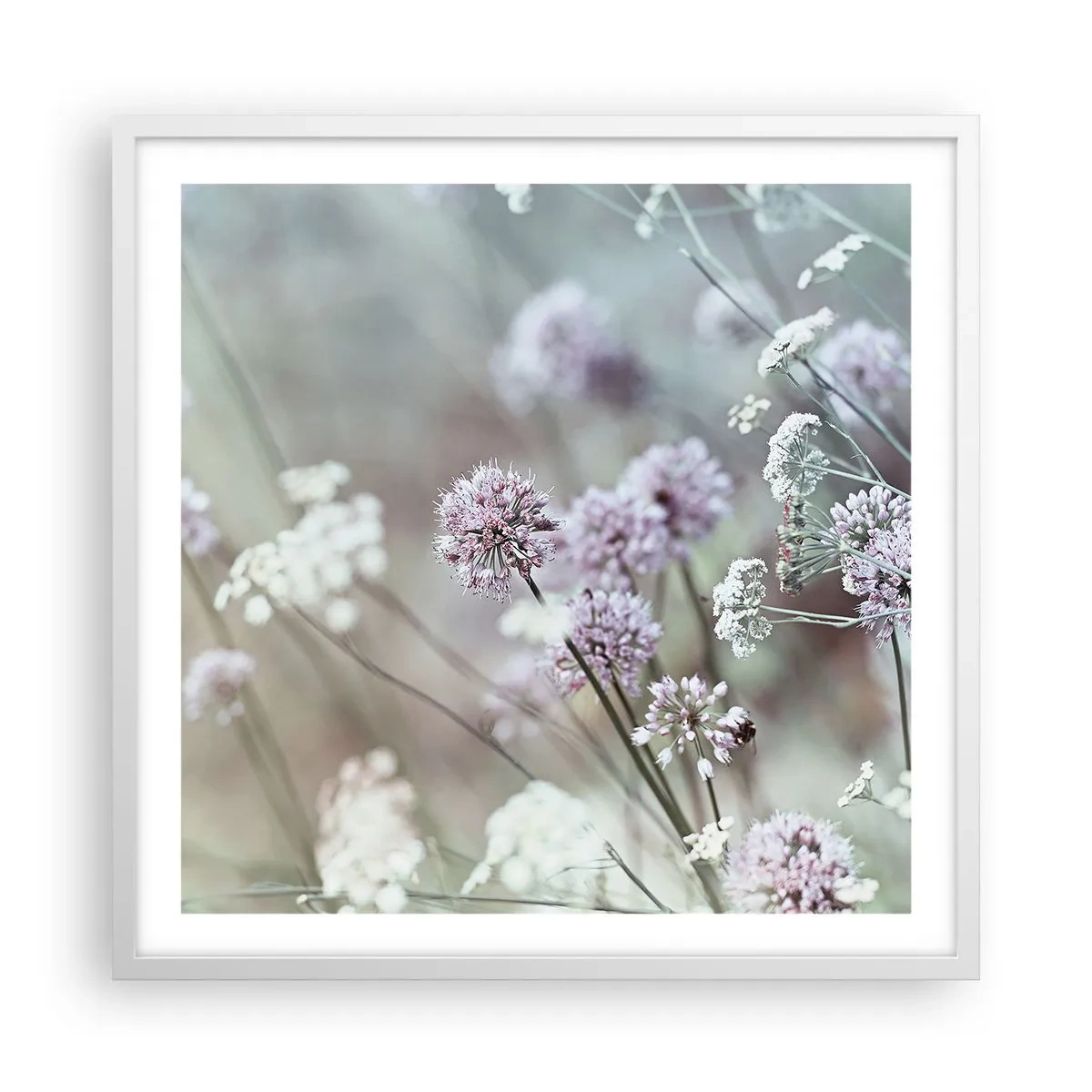 Plagát v bielom ráme - Sladké filigrány byliniek - 60x60 cm