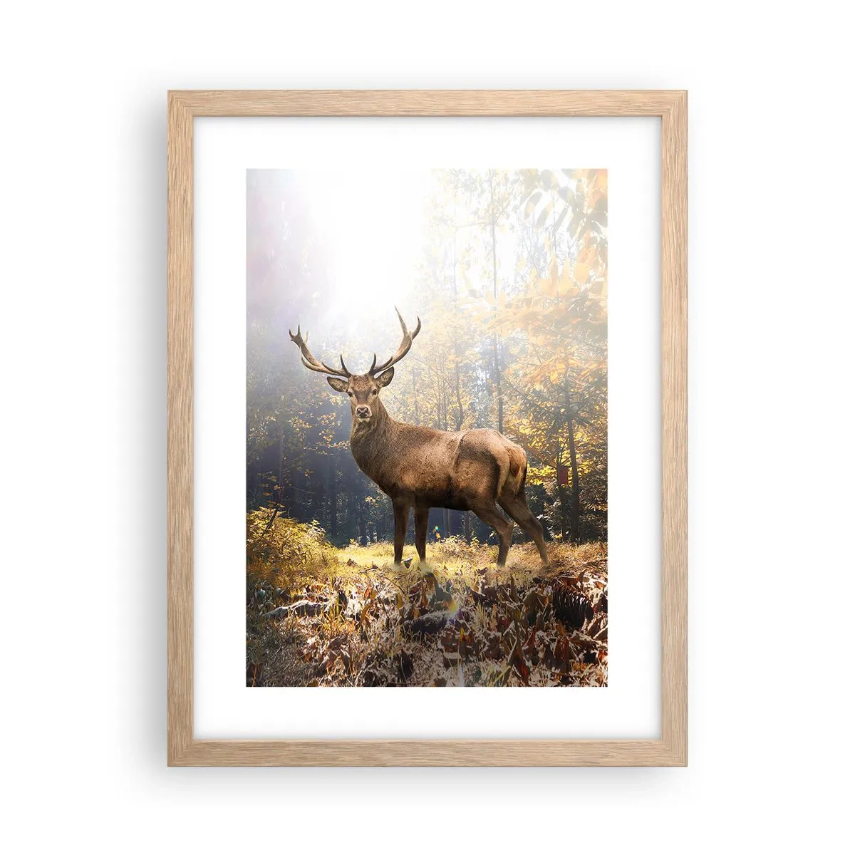 Plagát v ráme zo svetlého duba - Plné dôstojnosti - 30x40 cm