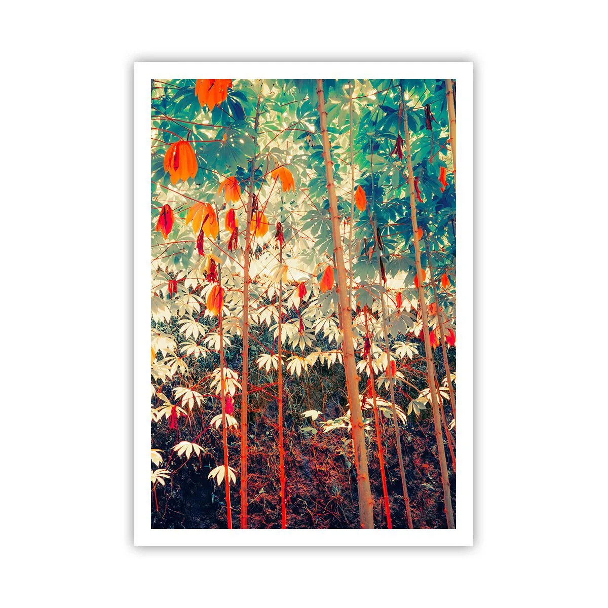 Plagát - Tajný život listov - 70x100 cm