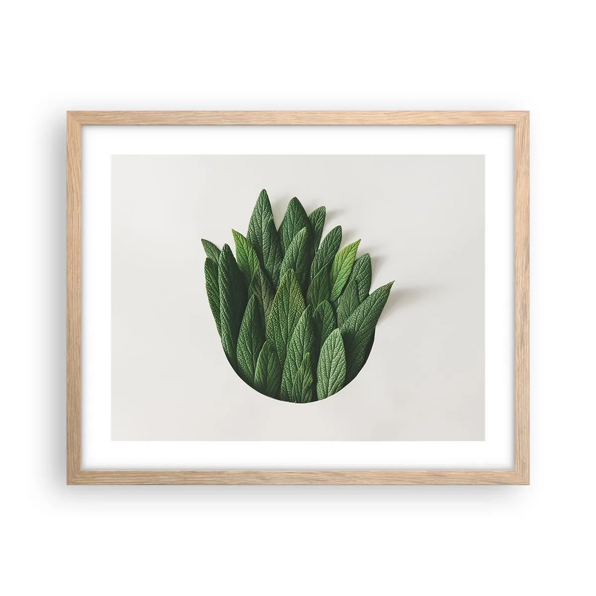 Plagát v ráme zo svetlého duba - Neukojiteľná zvedavosť - 50x40 cm