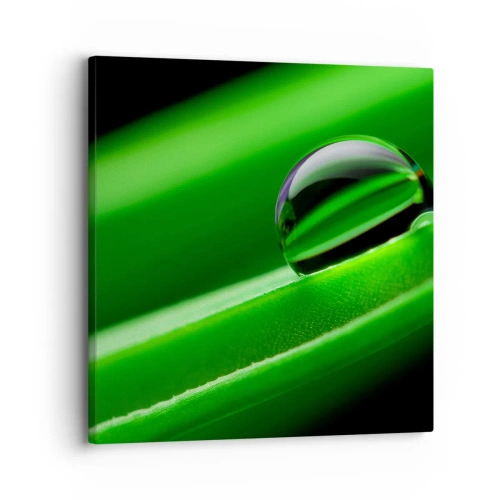 Obraz na plátne - Život zblízka - 30x30 cm