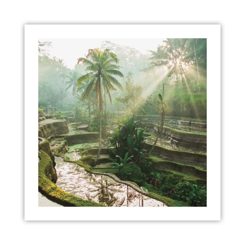 Plagát - Vyrastať na slnku - 50x50 cm