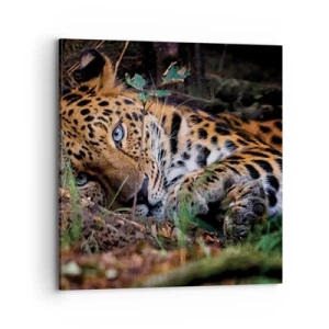 Obraz na plátne - Ver mi - 70x70 cm