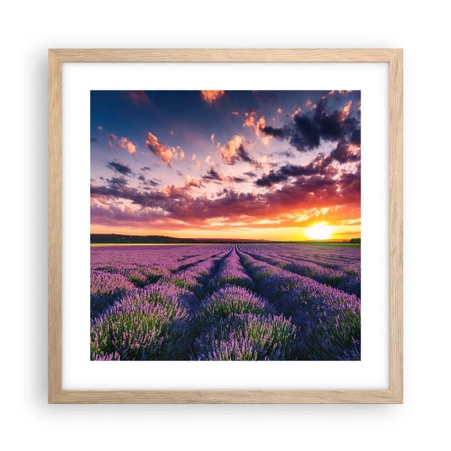 Plagát v ráme zo svetlého duba - Levanduľový svet - 40x40 cm