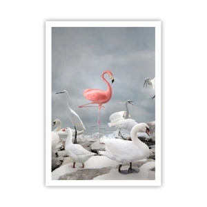 Plagát - Kde som sa tu vzal? - 70x100 cm