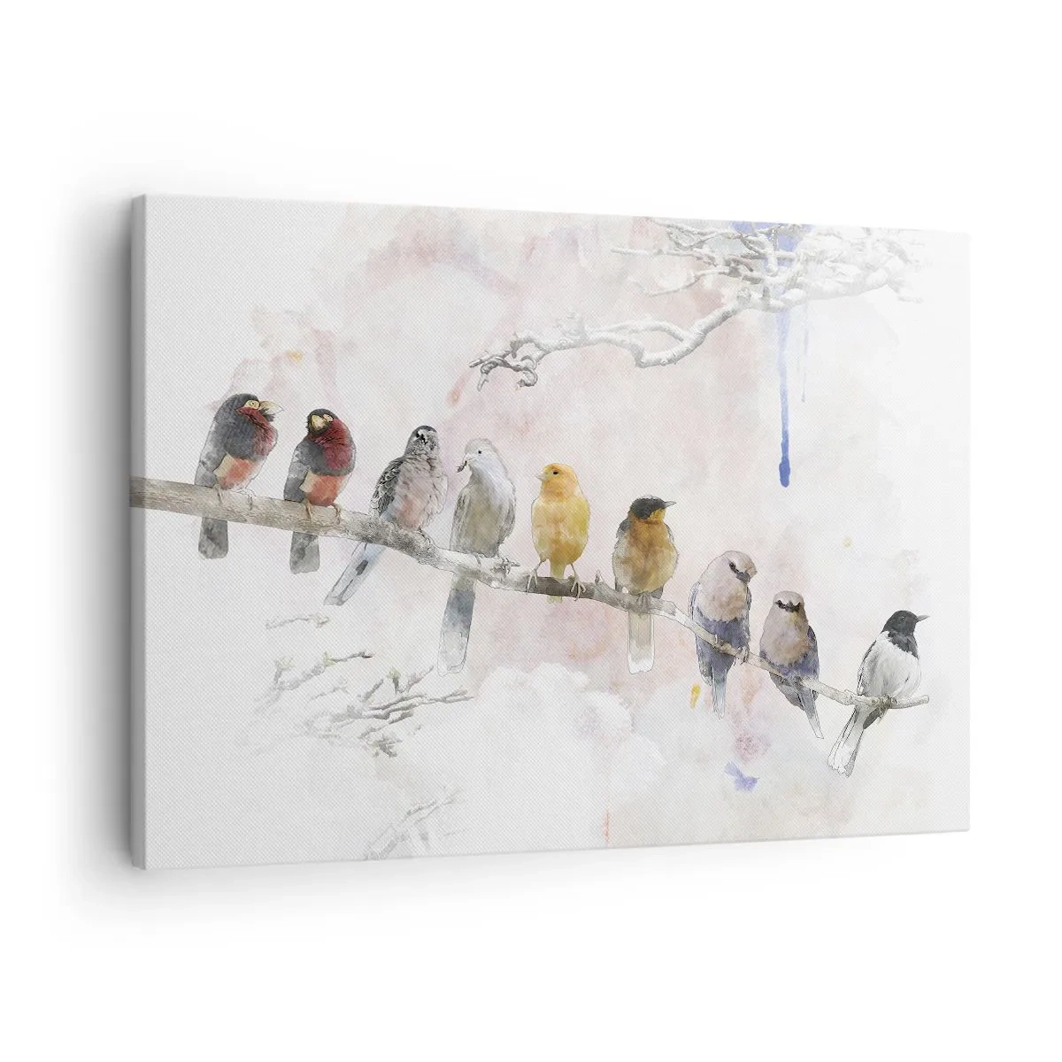Obraz na plátne - Farebné vtáky na konári v akvarelovom štýle - 70x50cm - Okrídlené stretnutie - Moderná nástenná dekorácia do obývacej izby a spálne ARTTOR