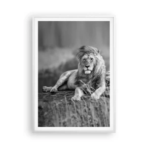 Plagát v bielom ráme - Kráľovská siesta - 70x100 cm