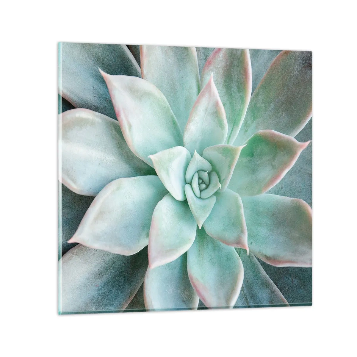 Obraz na skle - Srdce púšte - 30x30 cm