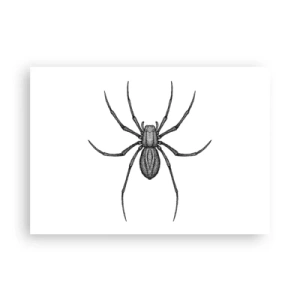 Plagát - Znepokojivá presnosť - 100x70 cm