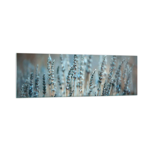 Obraz na skle - Voňavý lán - 160x50 cm