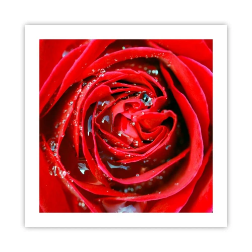 Plagát - V kvapkách rosy - 50x50 cm