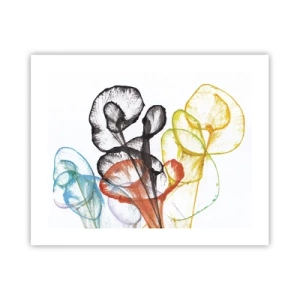 Plagát - Kvety s dušou - 50x40 cm