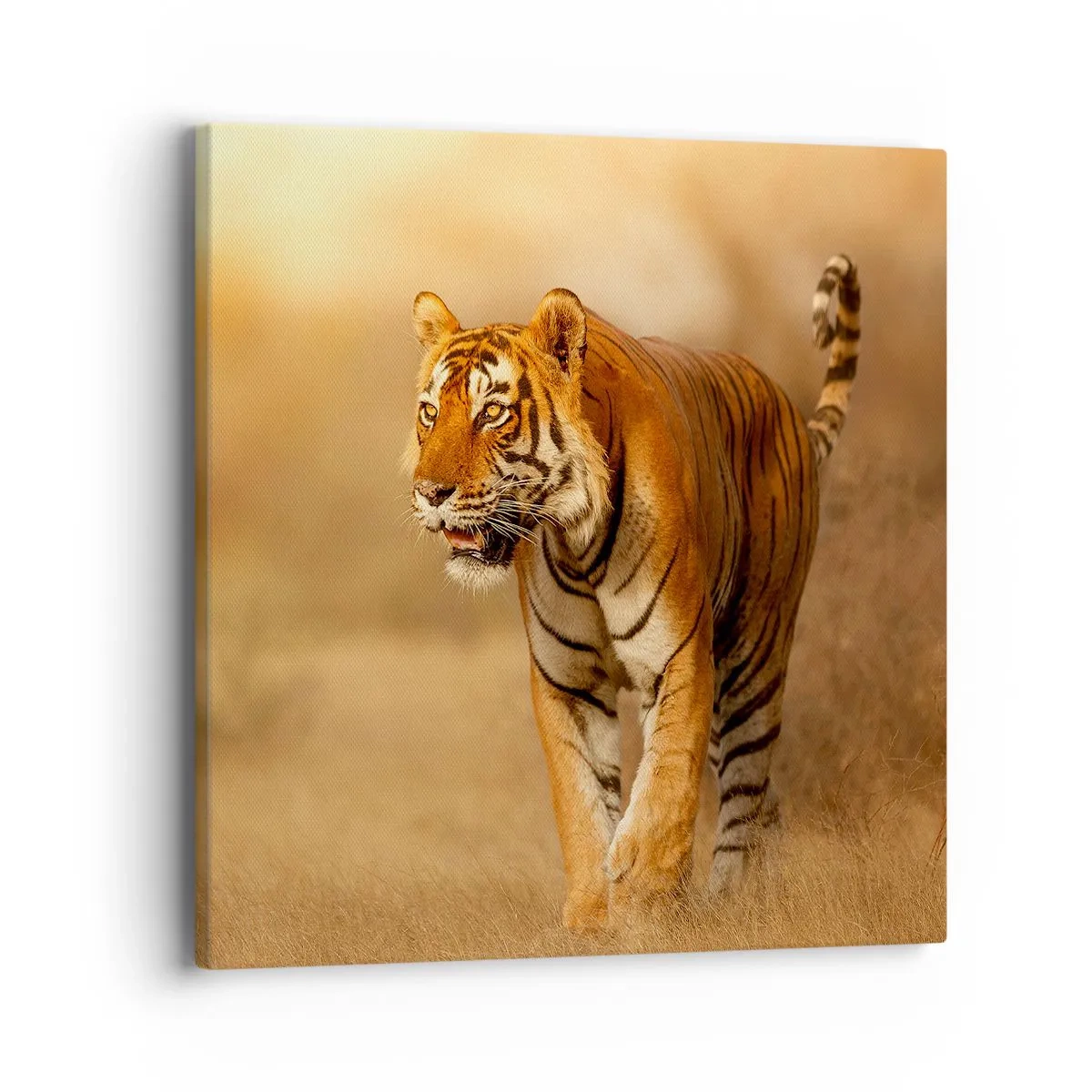 Obraz na plátne - Pred útokom - 40x40 cm