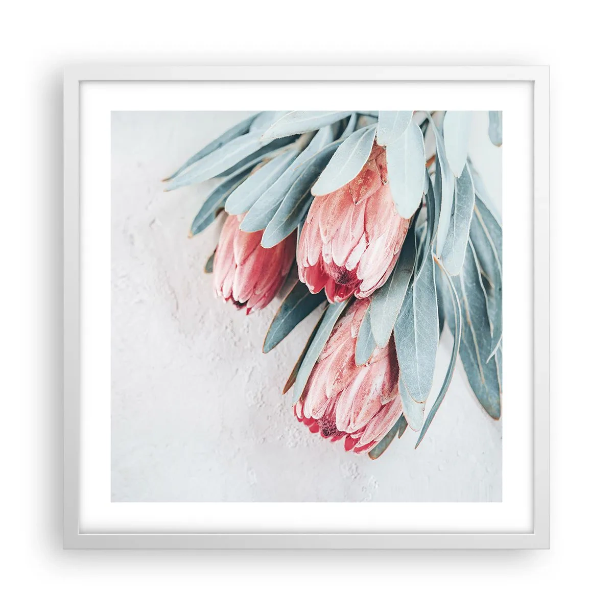 Plagát v bielom ráme - Zahanbené svojou vlastnou krásou - 50x50 cm