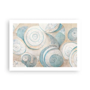 Plagát - Čo skrýva mušľa? - 70x50 cm