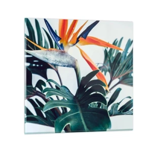 Obraz na skle - Vtáker - 30x30 cm