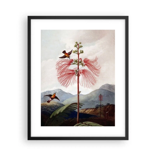 Plagát v čiernom ráme - V tropickom raji - 40x50 cm