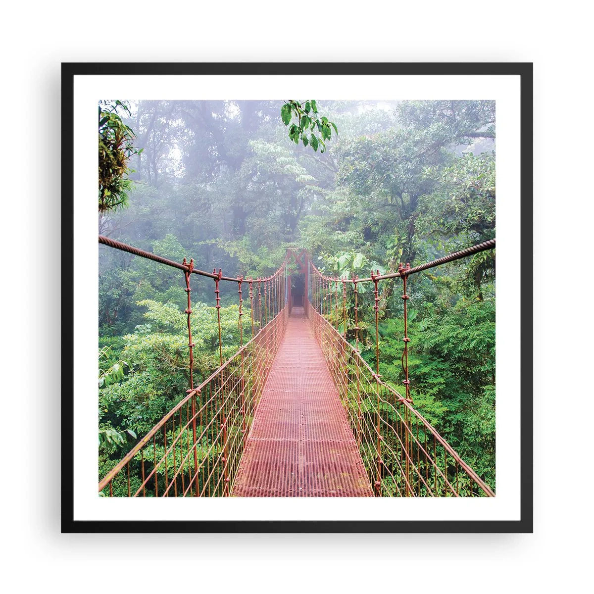 Plagát v čiernom ráme - Zavesený nad korunami - 60x60 cm