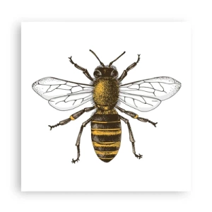 Plagát - Krásna a dobrá - 60x60 cm