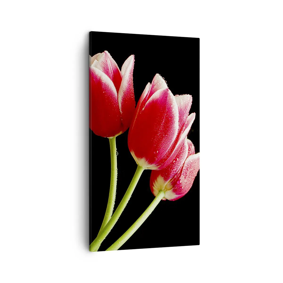 Obraz na plátne - Sľub čistej lásky - 45x80 cm