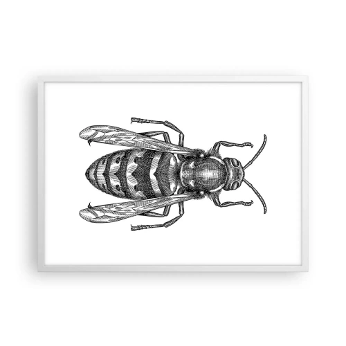 Plagát v bielom ráme - Z hmyzej planéty - 70x50 cm