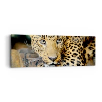 90x30 cm | Panoramatický