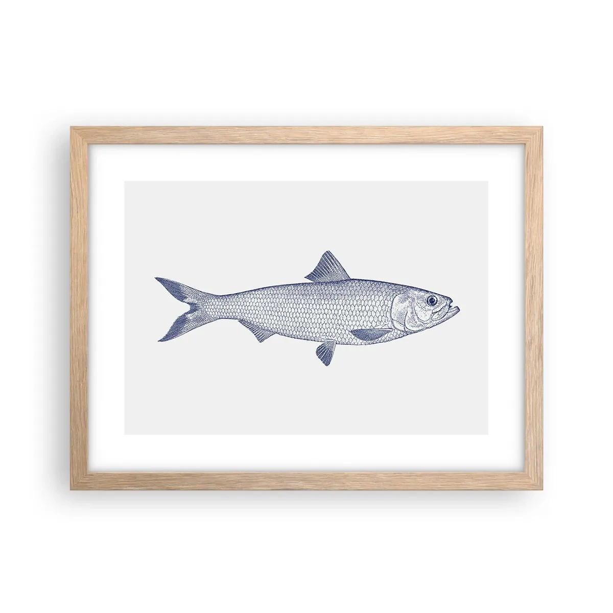 Plagát v ráme zo svetlého duba - Pozdravy zo severných morí - 40x30 cm