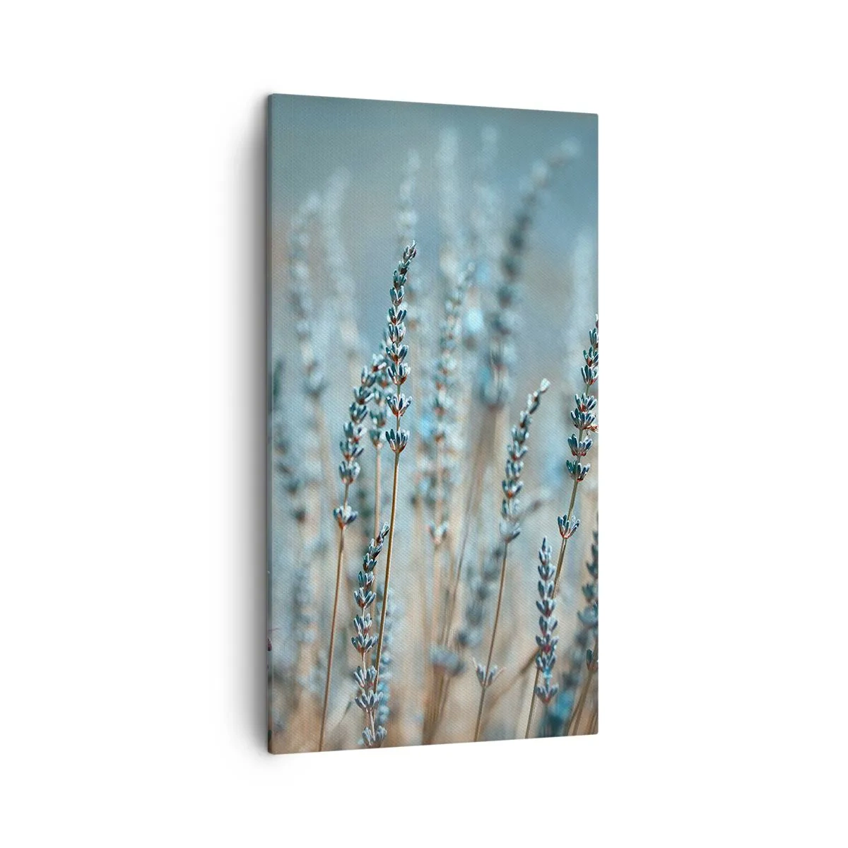Obraz na plátne - Voňavý lán - 45x80 cm