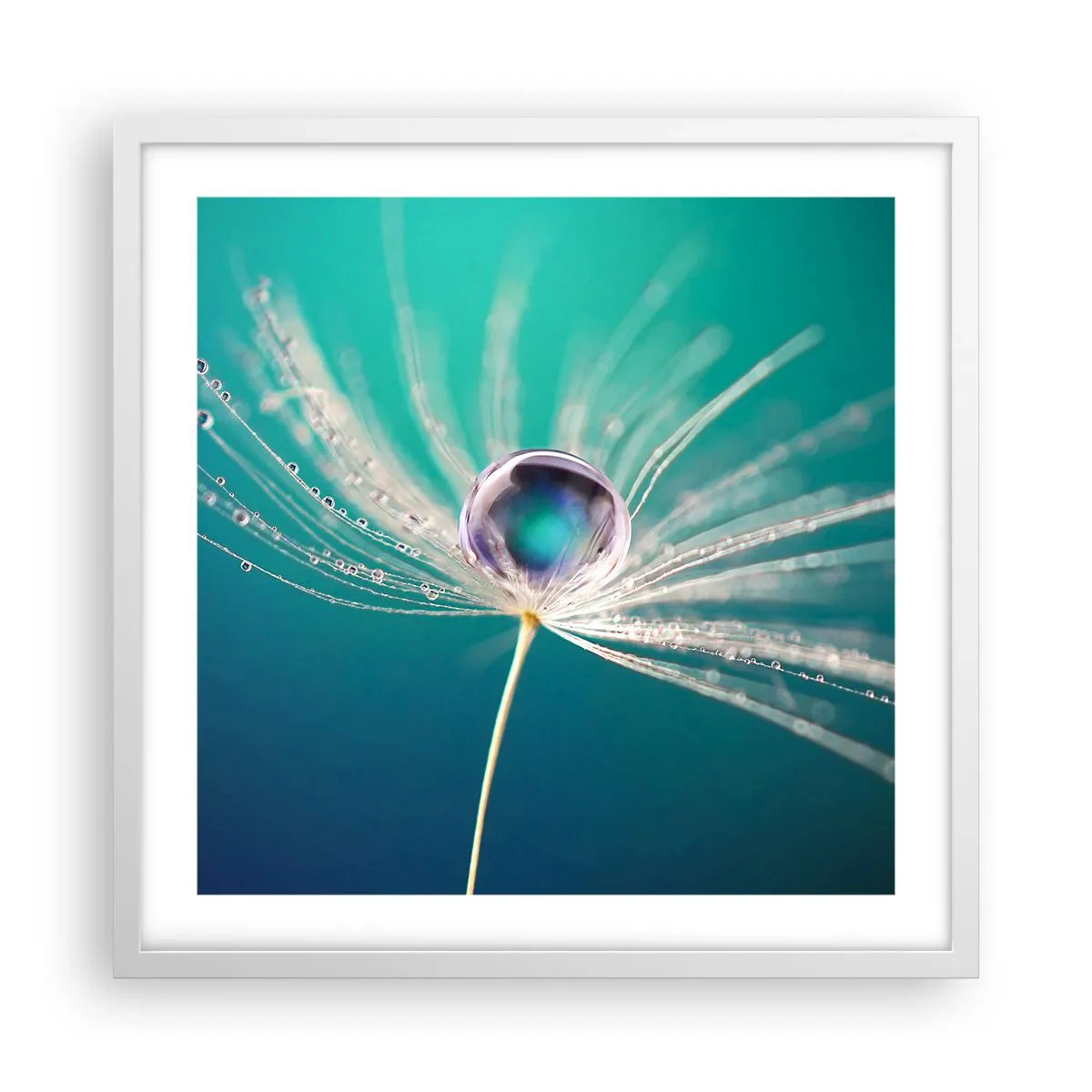 Plagát v bielom ráme - Mystický okamih - 50x50 cm