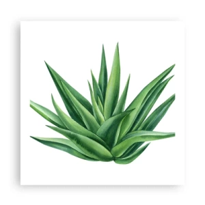 Plagát - Zelená – sila – život - 60x60 cm