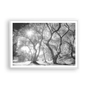 Plagát v bielom ráme - V olivovom háji - 100x70 cm