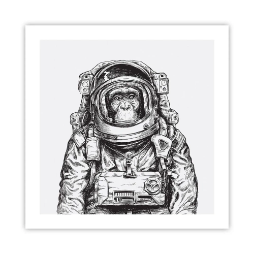 Plagát - Alternatívny vývoj - 50x50 cm
