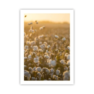 Plagát - Chlpaté pole - 50x70 cm