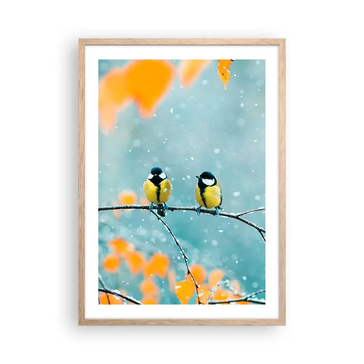 Plagát v ráme zo svetlého duba - Vtáčie klebety - 50x70 cm
