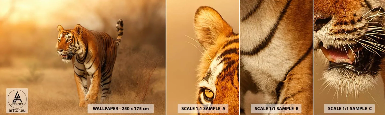 Vzorka samolepiacej fototapety Deluxe Sticker - Pred útokom - Zvieratá, Tiger, Afriky - 100x30 cm