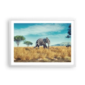 Plagát v bielom ráme - Šedá už nie je v móde - 70x50 cm