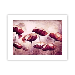 Plagát - Červený a biely plátok - 40x30 cm