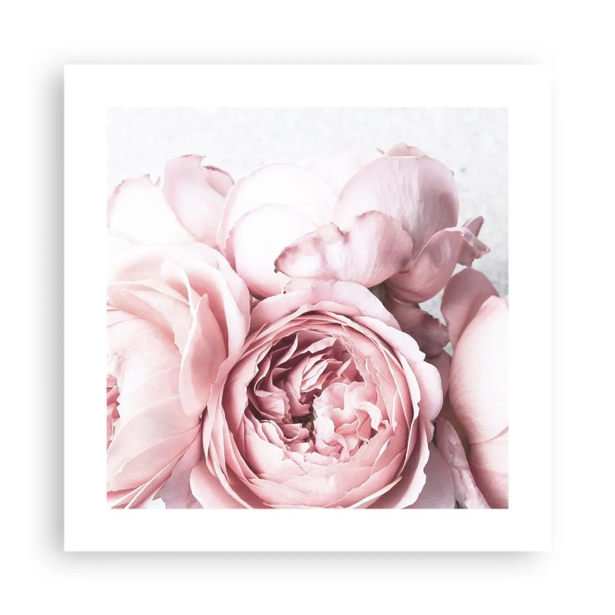 Plagát - Pre romantikov - 40x40 cm