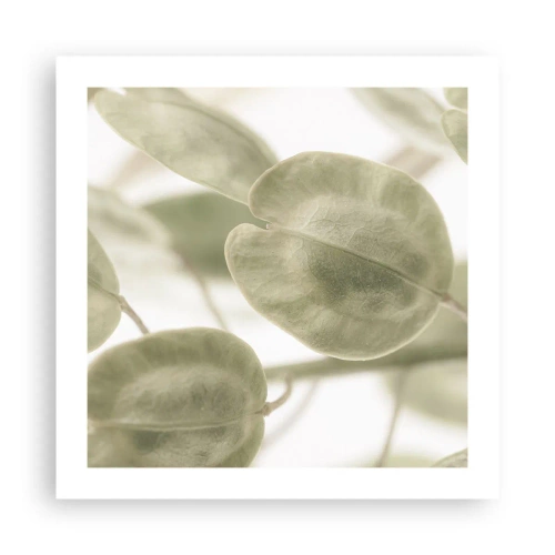 Plagát - Na začiatku bolo lístie… - 50x50 cm